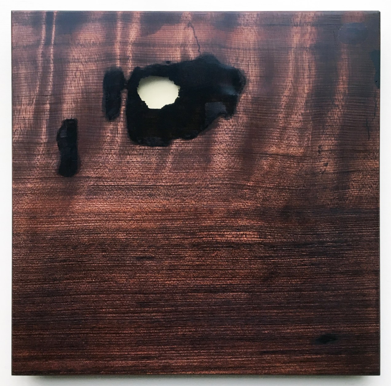 shop116-curly-redwood-hot-plates-3