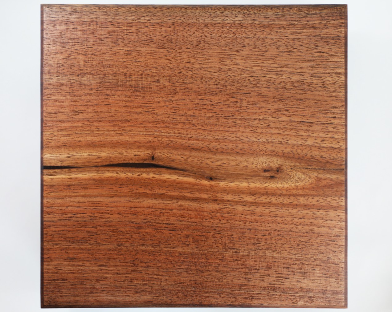 shop116 Display Trays 3